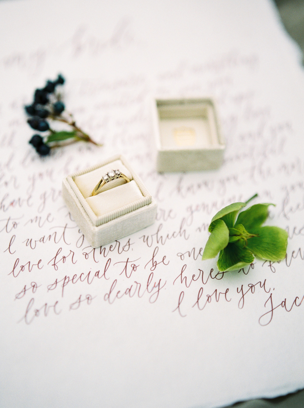 Wedding Vows | Mrs. Box | Calligraphy | Ring Box | Banff Elopement | Fine Art Wedding Photographer Esther Funk